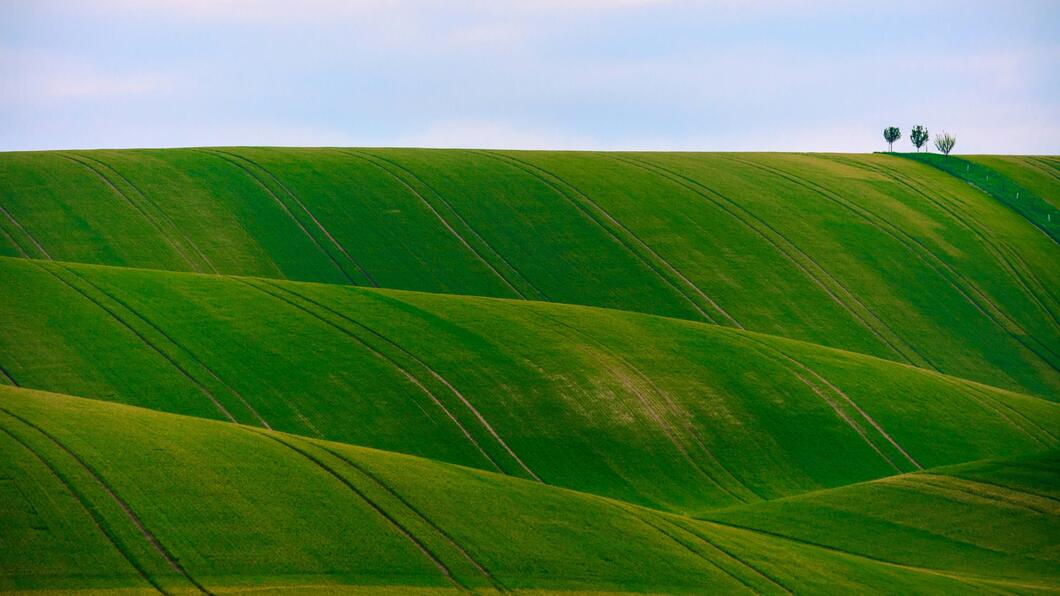 greenwashing