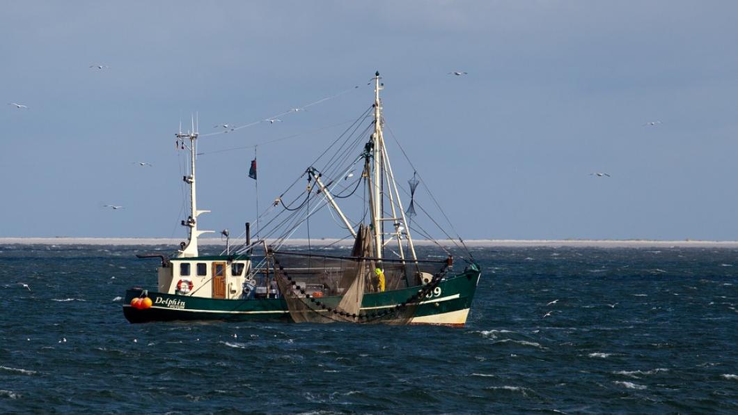 sea-3049864_960_720.jpg