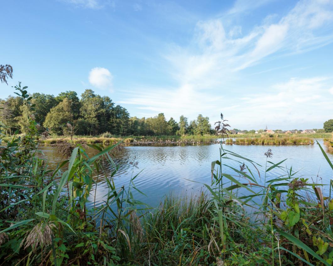 natuur.jpg