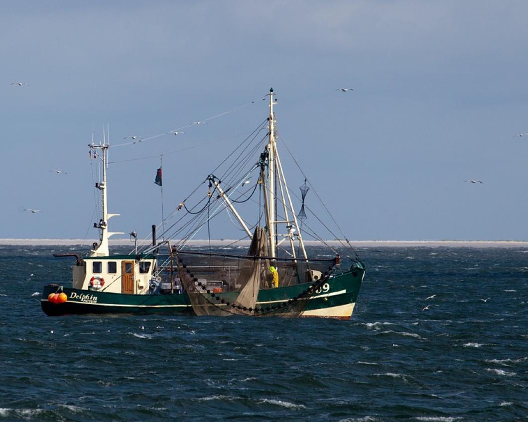 sea-3049864_960_720.jpg